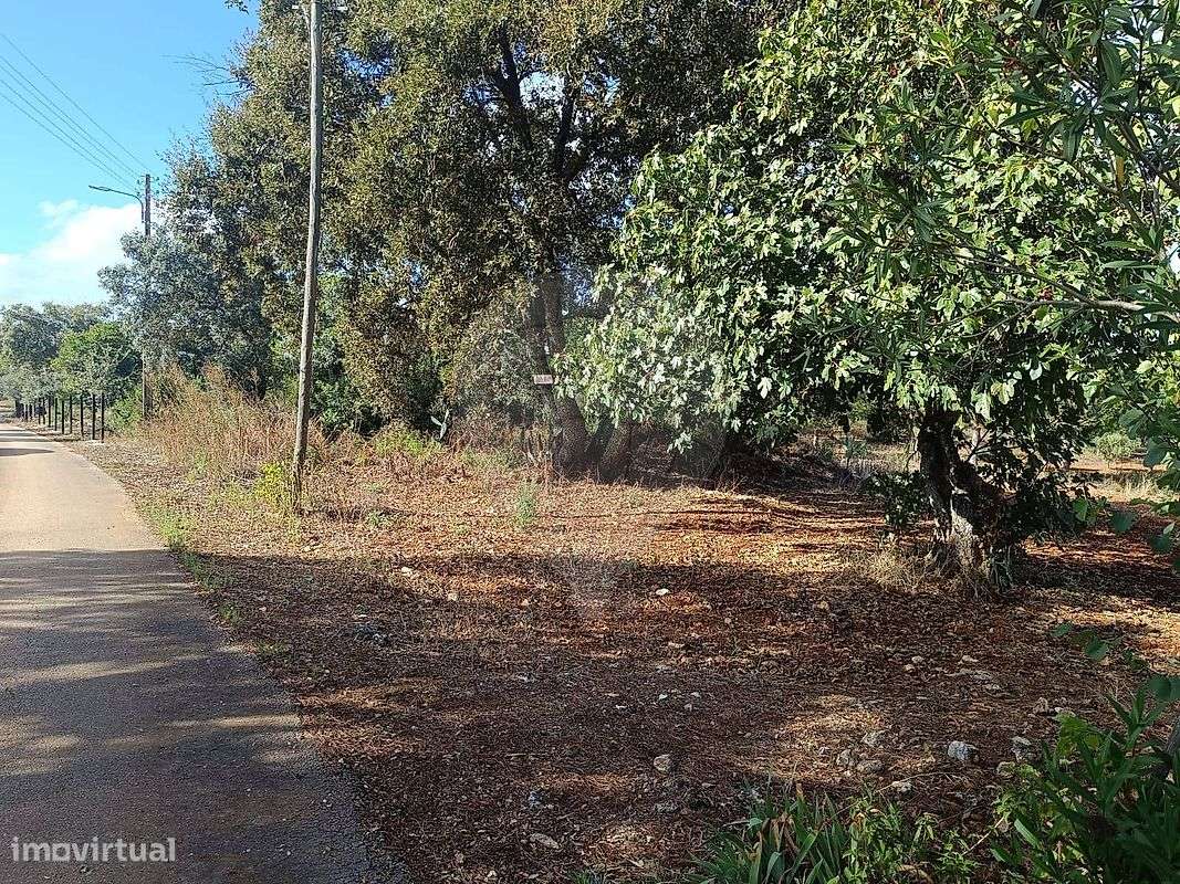 Terreno  para venda - Grande imagem: 5/16