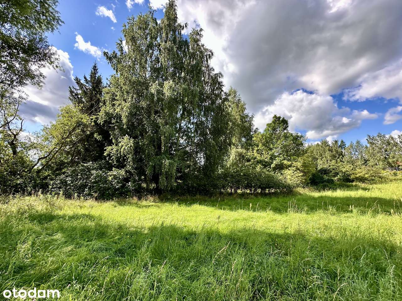 NOWA CENA | Działka przy Jeziorze Tałty - Stare Sady k. Mikołajek-7