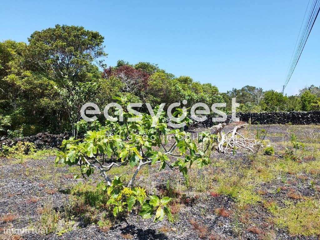 Terreno urbano na freguesia da Criação Velha com 1.800m2 - Grande imagem: 3/20