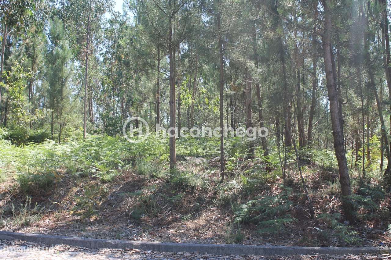 Terreno para Construção em Alvelos Barcelos-6