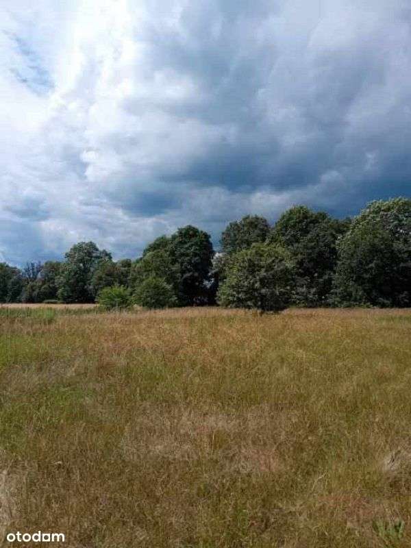 nieduża działka budowlana - Pełny obrazek: 4/5