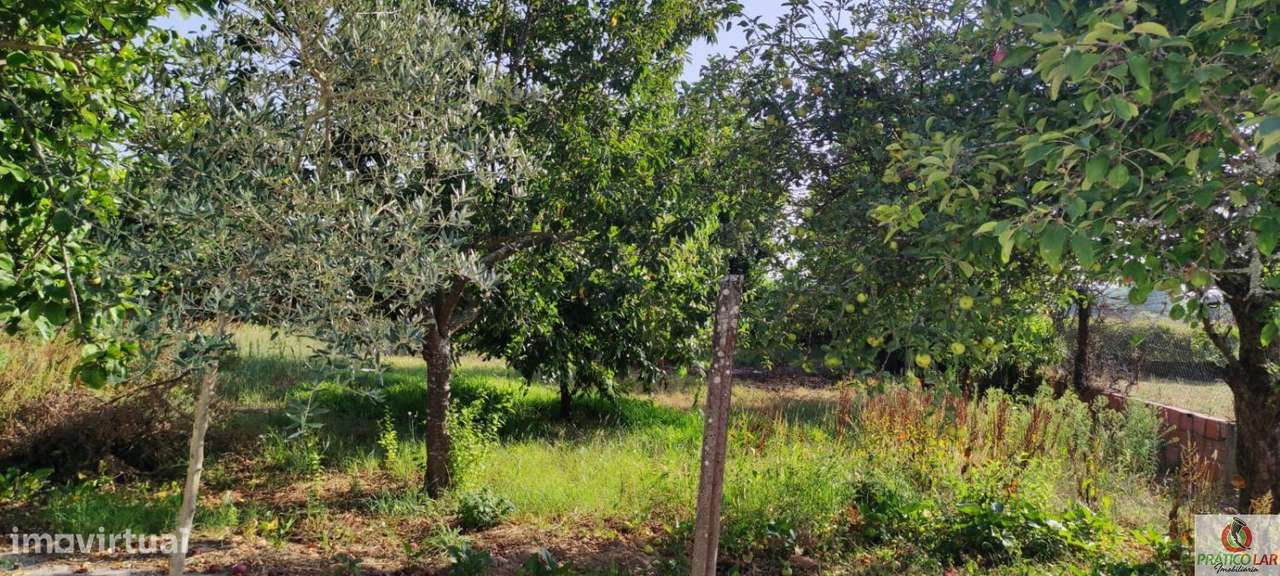 Moradia T3 com anexos e garagem em Nariz - Grande imagem: 3/38