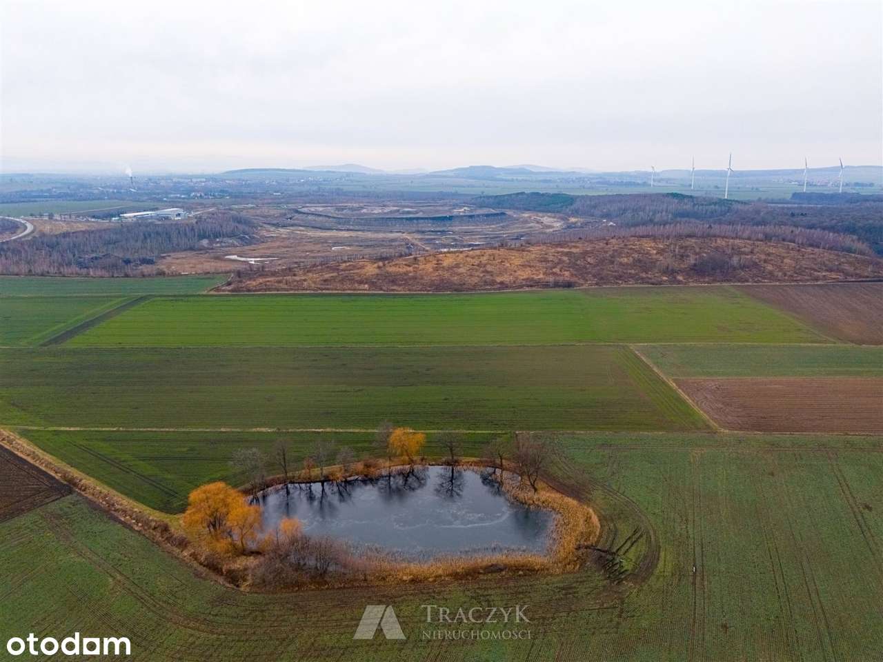 rolna w dobrej cenie Gmina Strzegom - Pełny obrazek: 5/15
