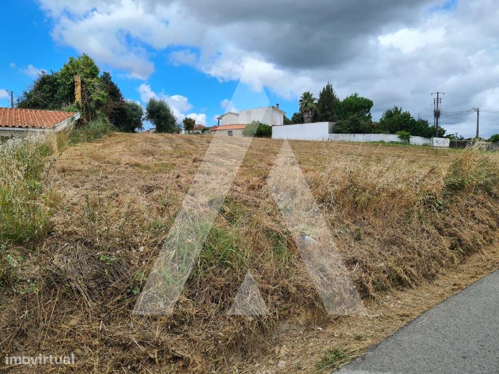 Terreno para Construção no Beco - Macinhata do Vouga - Grande imagem: 5/13