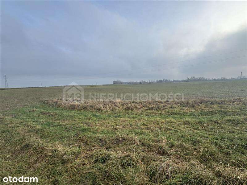 Sucumin - działka na sprzedaż DK22-11