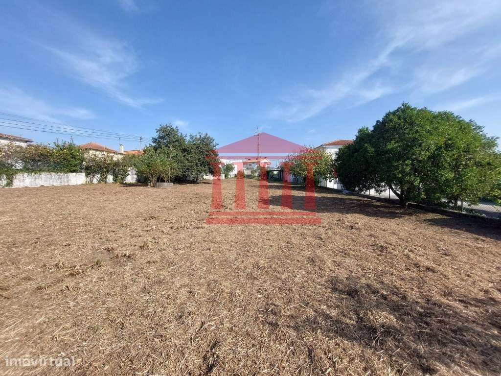 QUINTINHA COM CASA E ANEXOS - AREIAS - BARCELOS-16