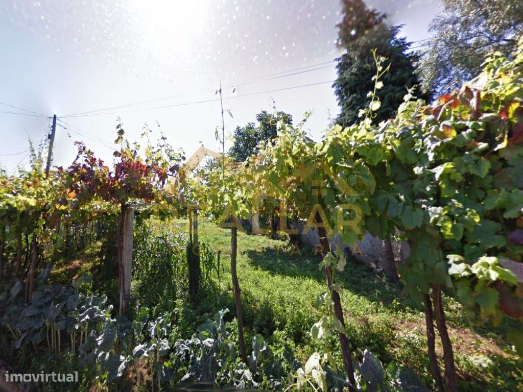 Terreno em Rio Covo - Barcelos - Grande imagem: 5/9