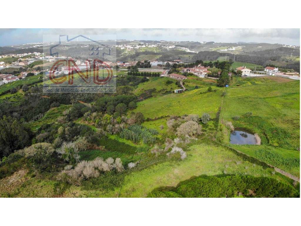 MAFRA - QUINTA, Moradia Arquitetura Tradicional Portuguesa com pisc...-25