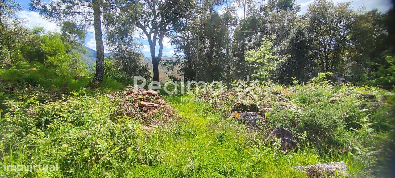 Terreno em Ruivães - Vieira do Minho p/ Construção-11
