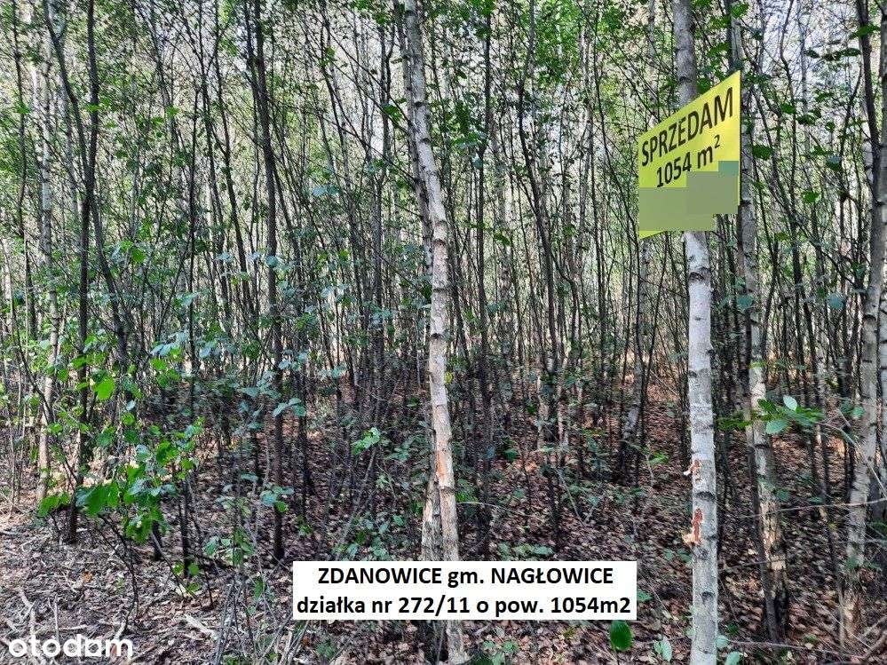 Tania działka rekreacyjna 1054m2 (plan) cena 54.900zł (f-ra 23% VAT)-17