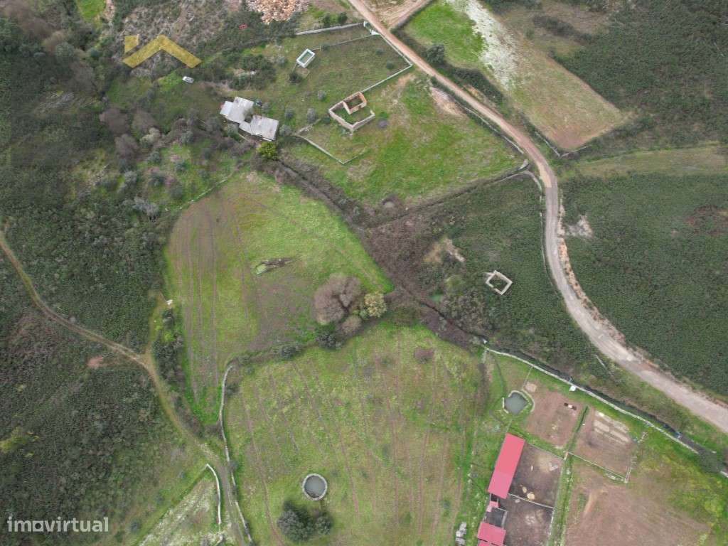 Quinta com 17.200m2 para venda em Juncal do Campo! - Grande imagem: 3/9