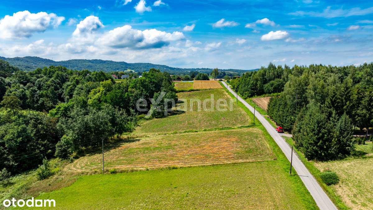 Ostatnie dwie działki ! doj. Drogą Asfaltową - Pełny obrazek: 5/14