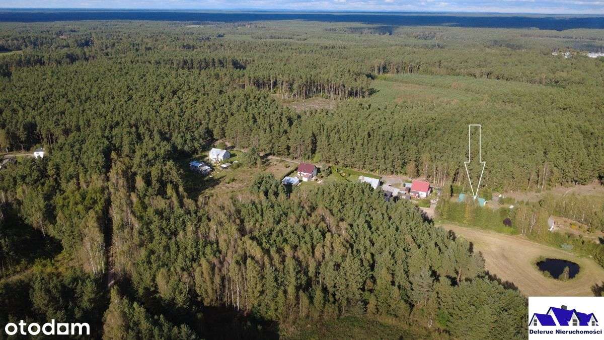 Dom w sąsiedztwie lasu Bory Tucholskie - Pełny obrazek: 4/20