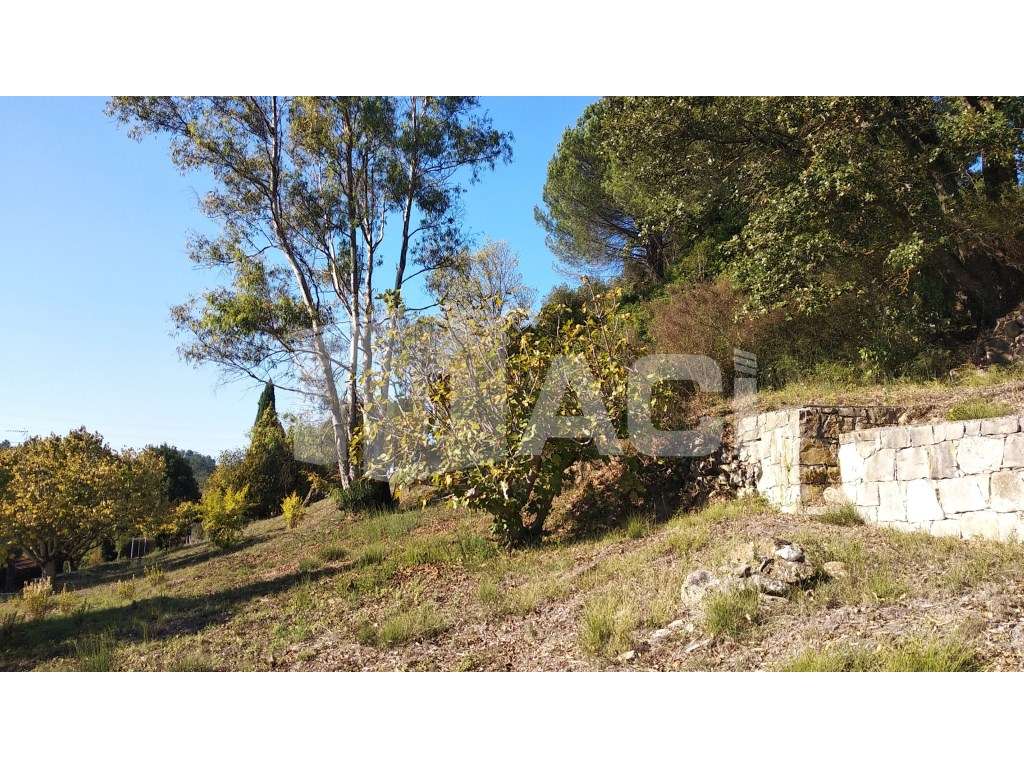 TERRENO MORADIA - Fontes, Leiria - Grande imagem: 4/9