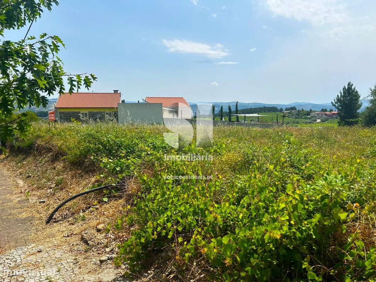 Terreno em Sabrosa - Grande imagem: 4/14