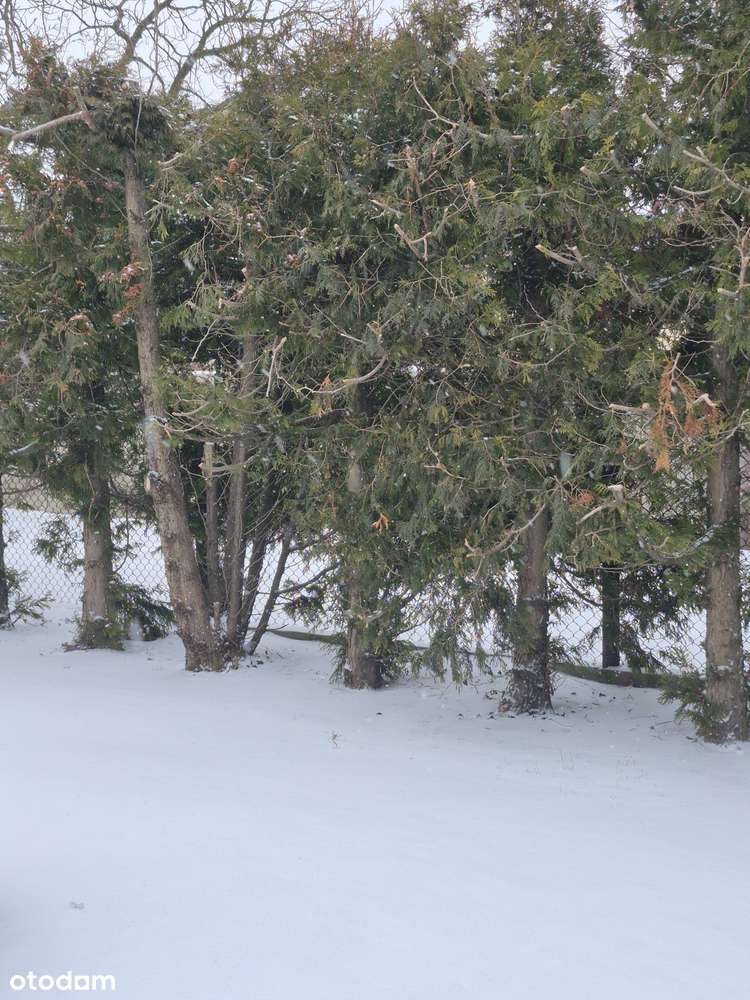 Pilchowice działka budowlana-1