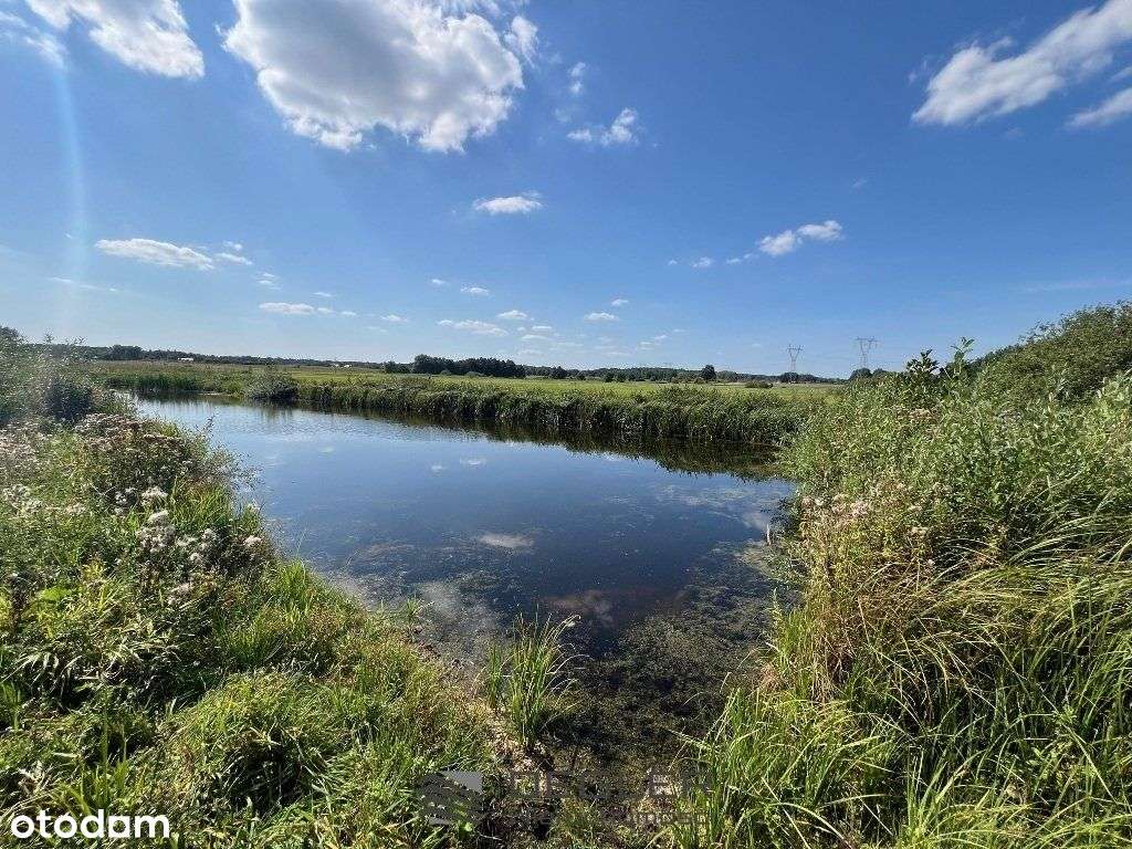 Działka rolna, stawy, wydobycie torfu Santocko - Pełny obrazek: 5/6