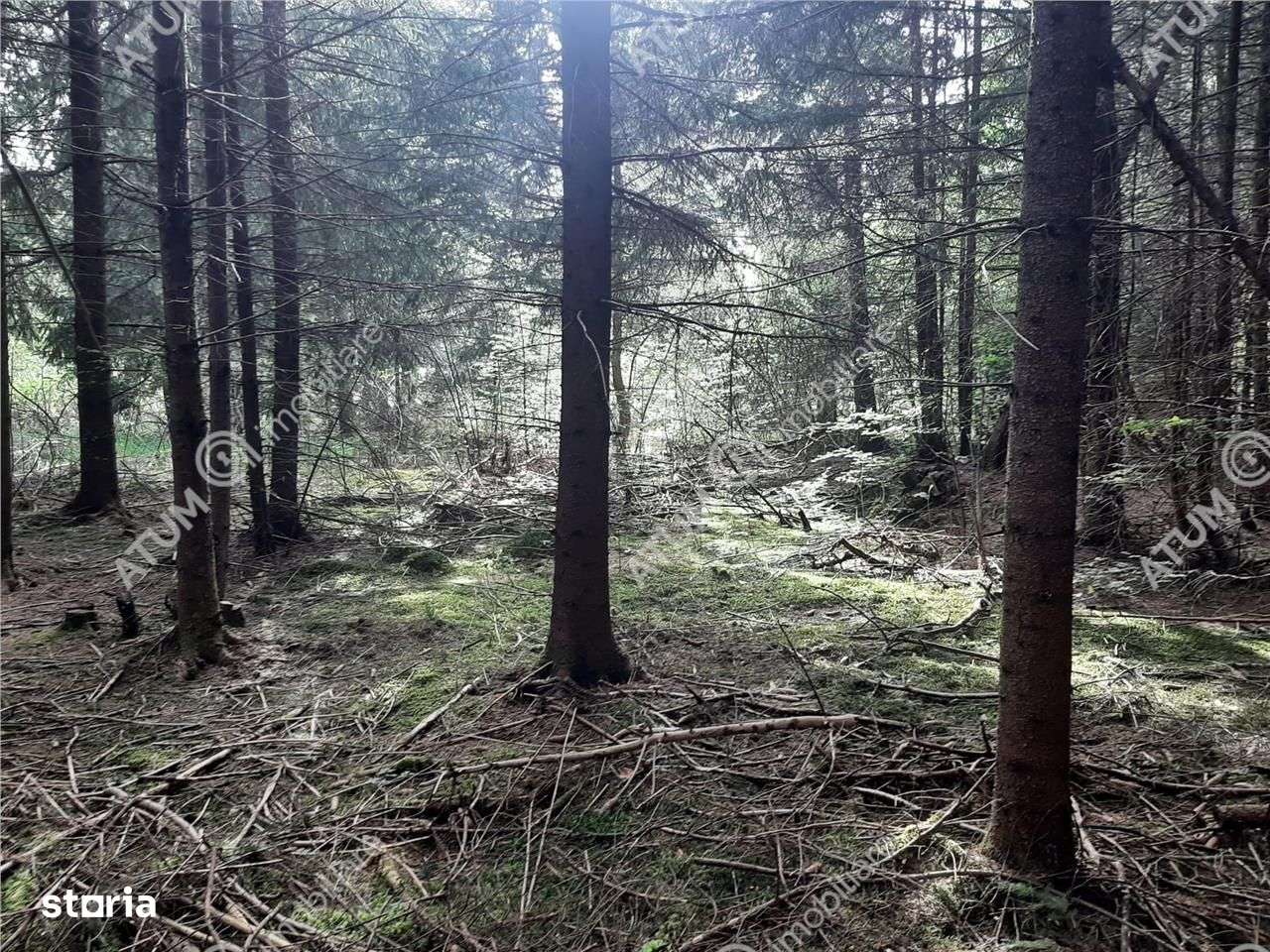 Teren intravilan  Avrig pe Valea Avrigului in zona Mlaci - Imagine principală: 3/5