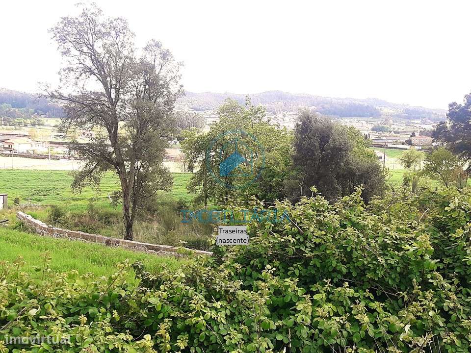 Terreno construção e cultivo – 6000m2 c/moradia devoluta-29