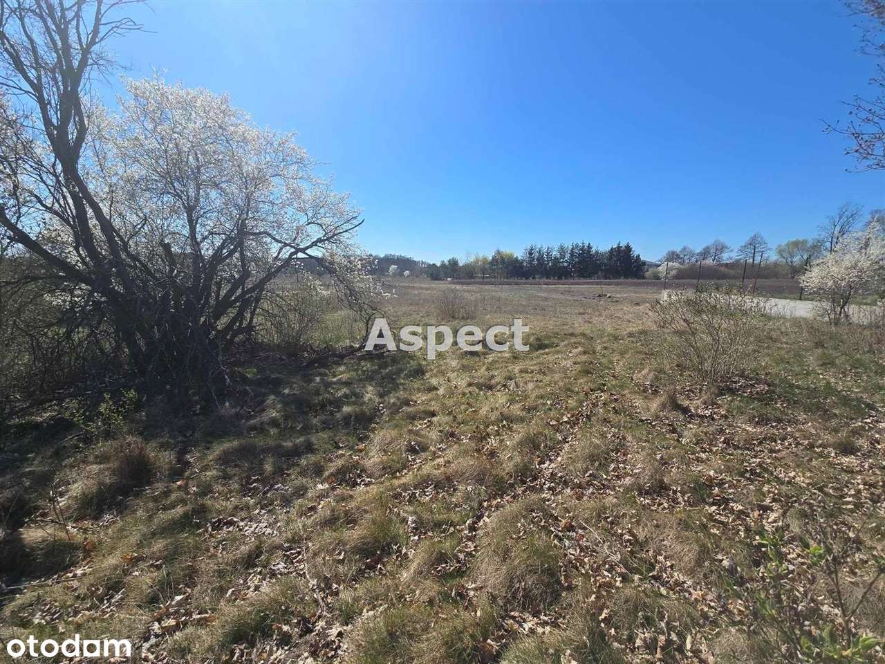 Działki budowlane Borowiczki-3