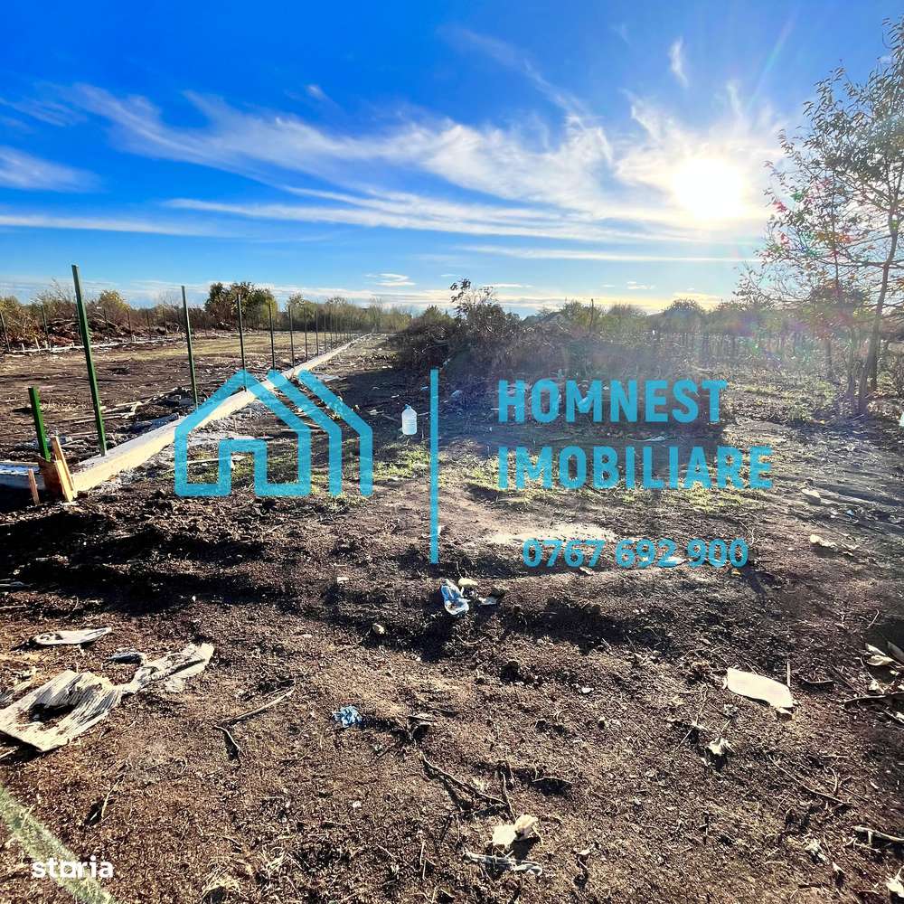 Stefanestii de Jos iIlfov | Teren 996.08 mp-6