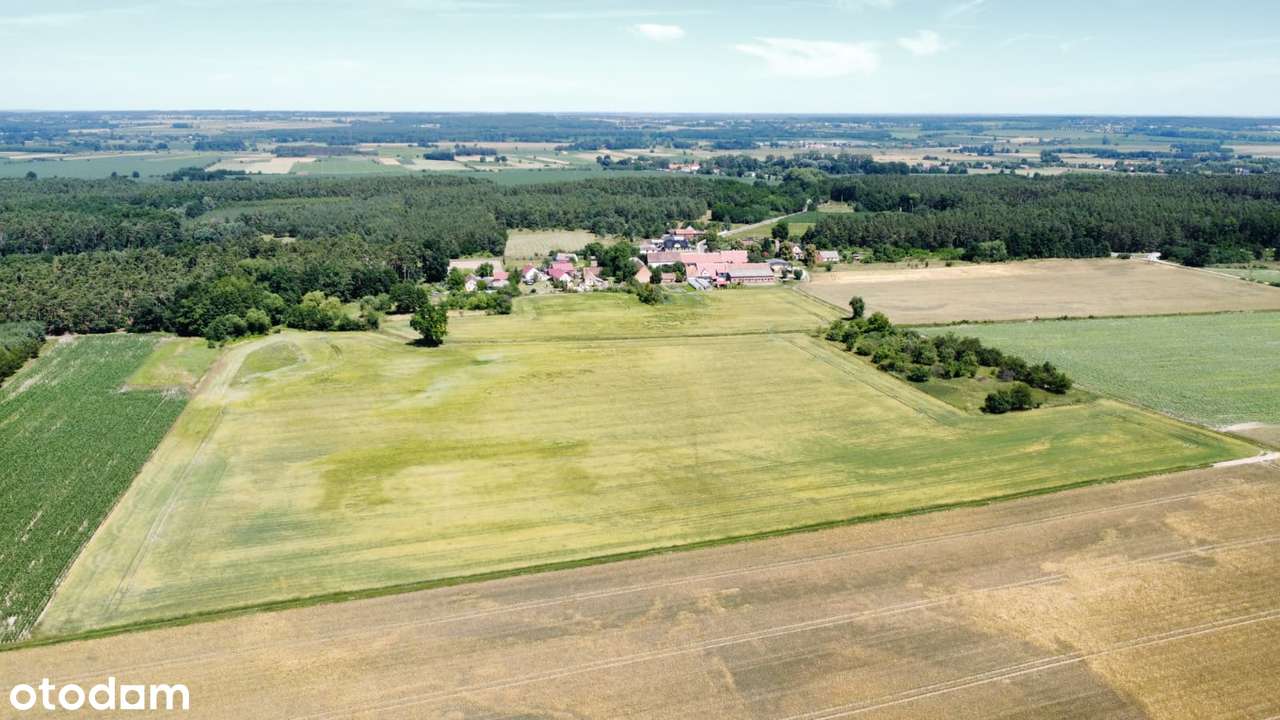 Atrakcyjna ziemia rolna i działka pod zabudowę – świetna inwestycja!