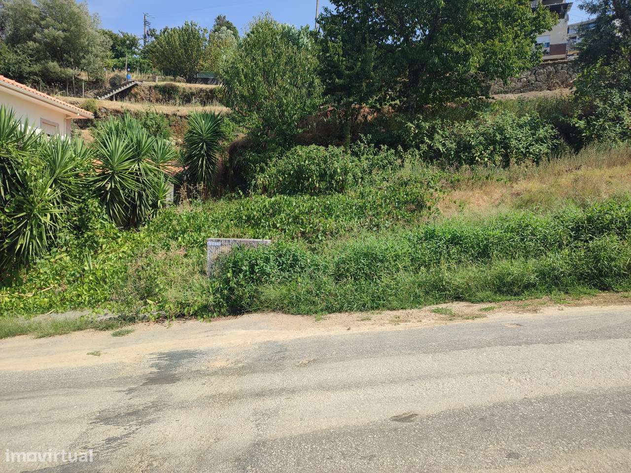 Lote para construção de moradia com 4 frentes, junto ao Rio Douro - Grande imagem: 5/11