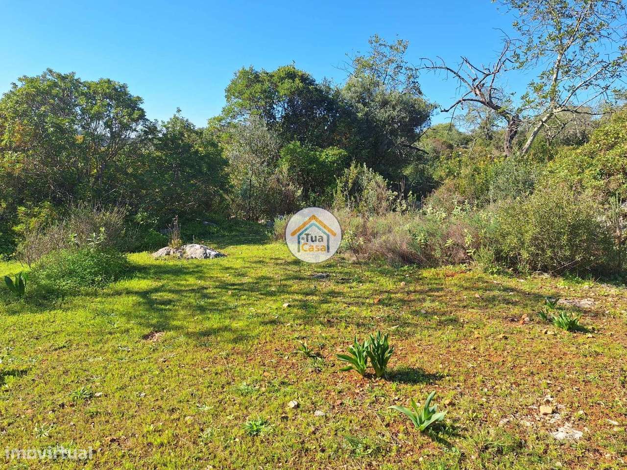 Terreno rústico - Grande imagem: 3/15