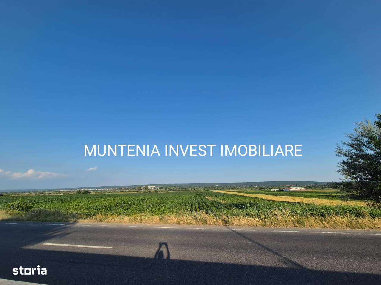 Teren 31703 mp. intravilan Purcăreni, Com. Micesti - Imagine principală: 4/5