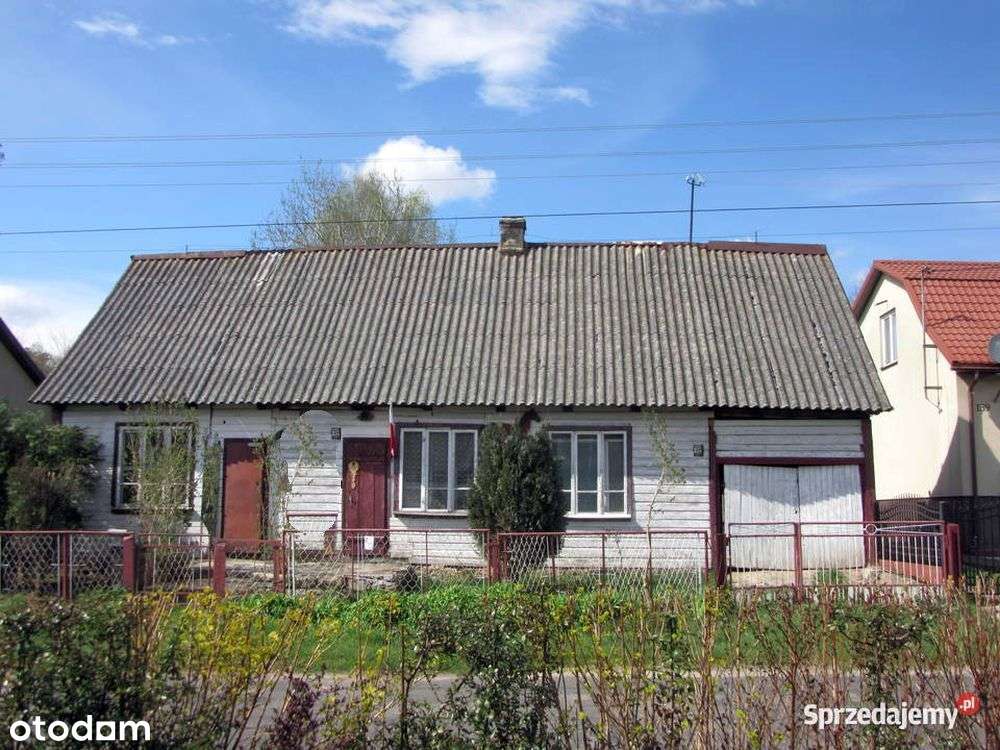 Interesujące siedlisko 4 działki ok.1,5 ha ze strumykiem w Gosaniu