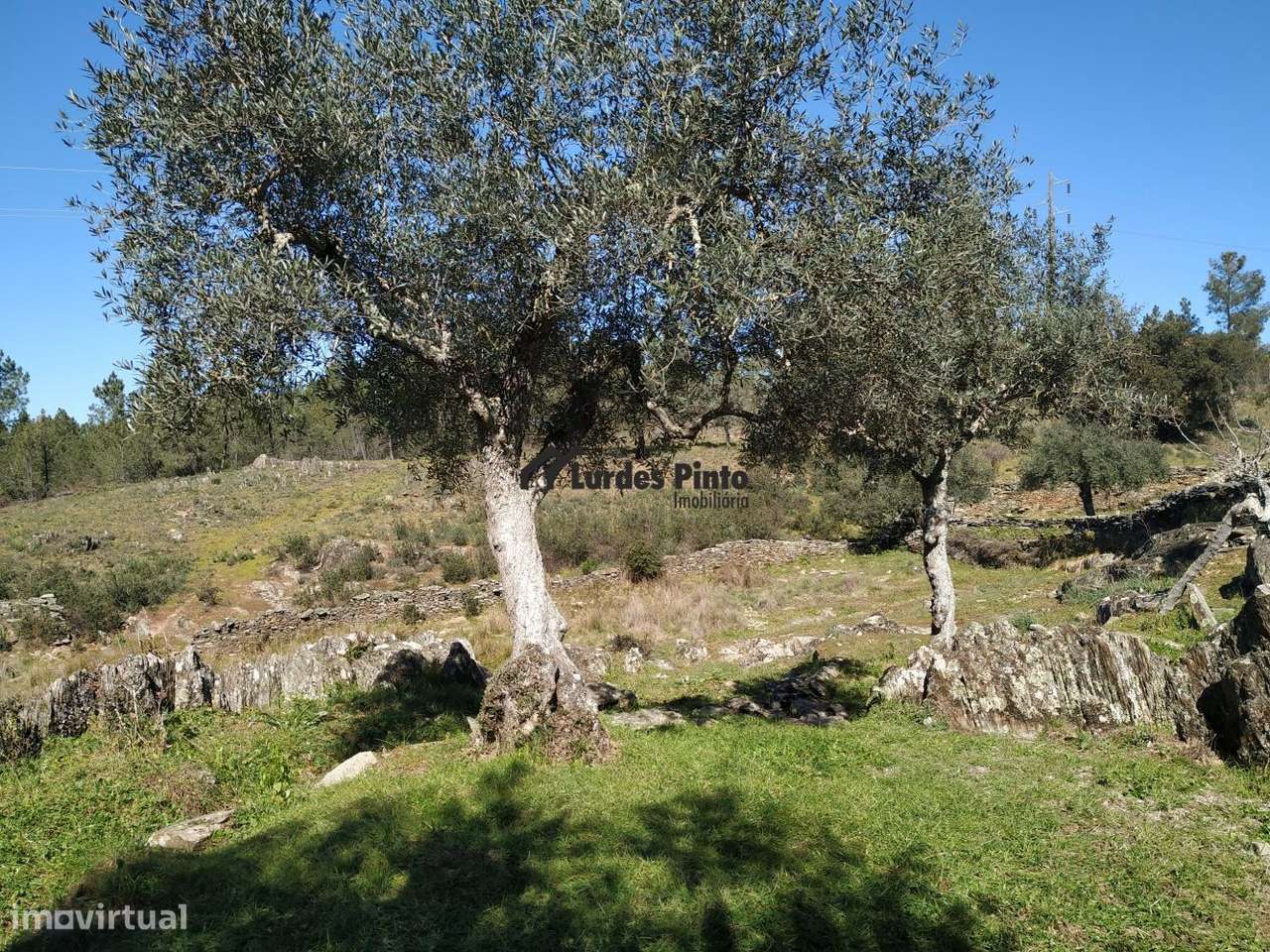 Terreno em Benquerenças-6