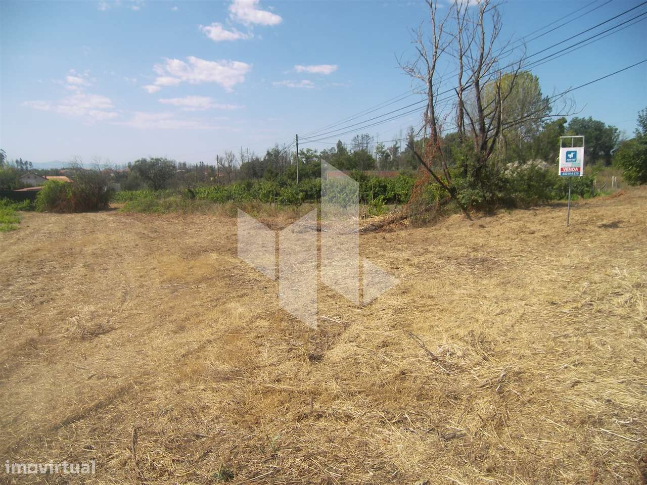 Terreno Urbano Santa Comba Dão - Grande imagem: 4/4