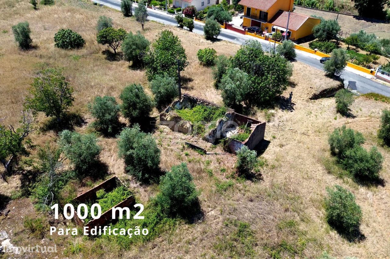 Terreno misto com 3,8 hectares em Tomar