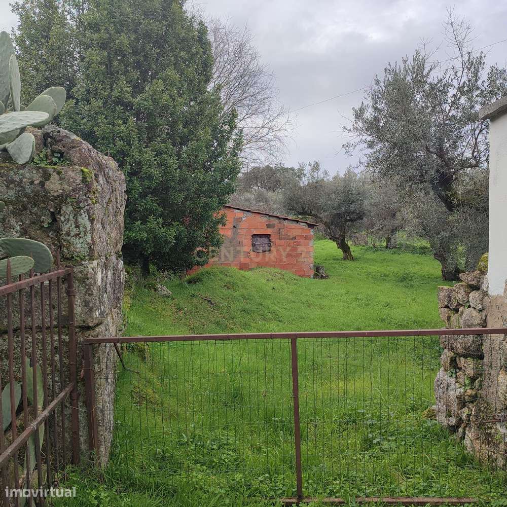 Terreno com 5000m2 com possibilidade de construção, Castelo Branco - Grande imagem: 4/7