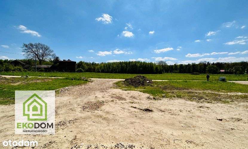 Dom pod lasem w pięknej okolicy, blisko trasy A1-10