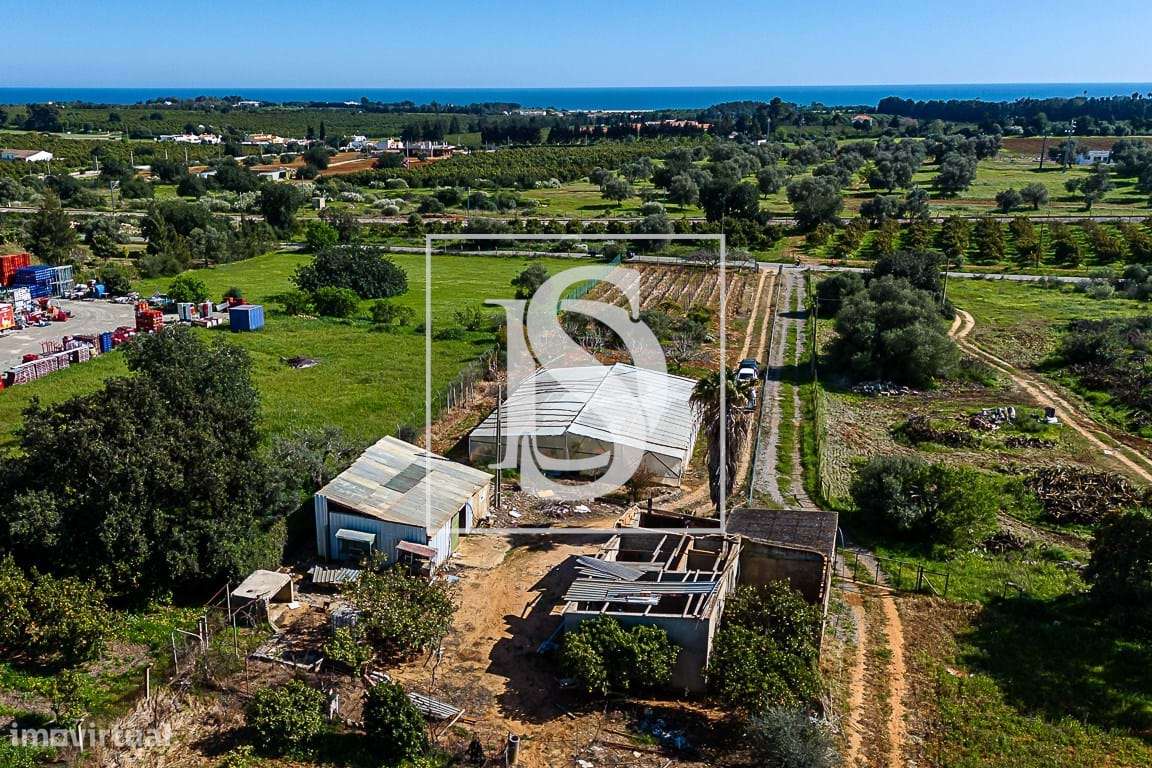 Ruína com Terreno Agrícola - Grande imagem: 4/18