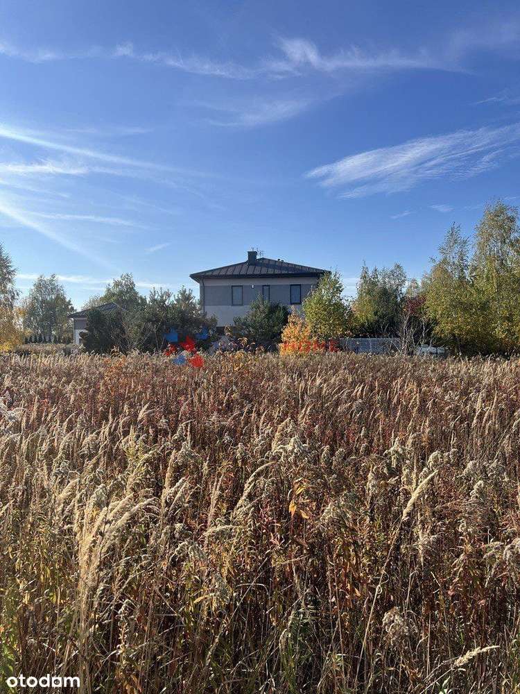Wszystkie media blisko szkoły-0