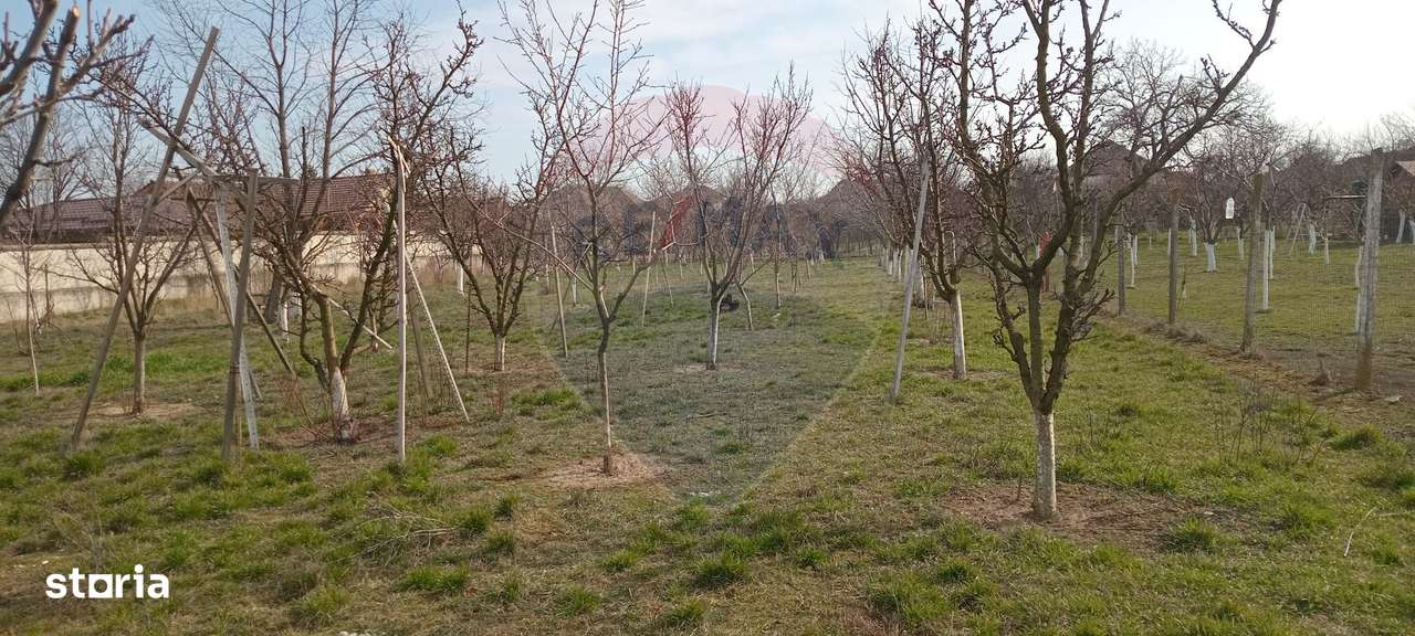 Teren Vladimirescu-  Zona Excelenta  2954 MP INTRAVILAN!!!-5