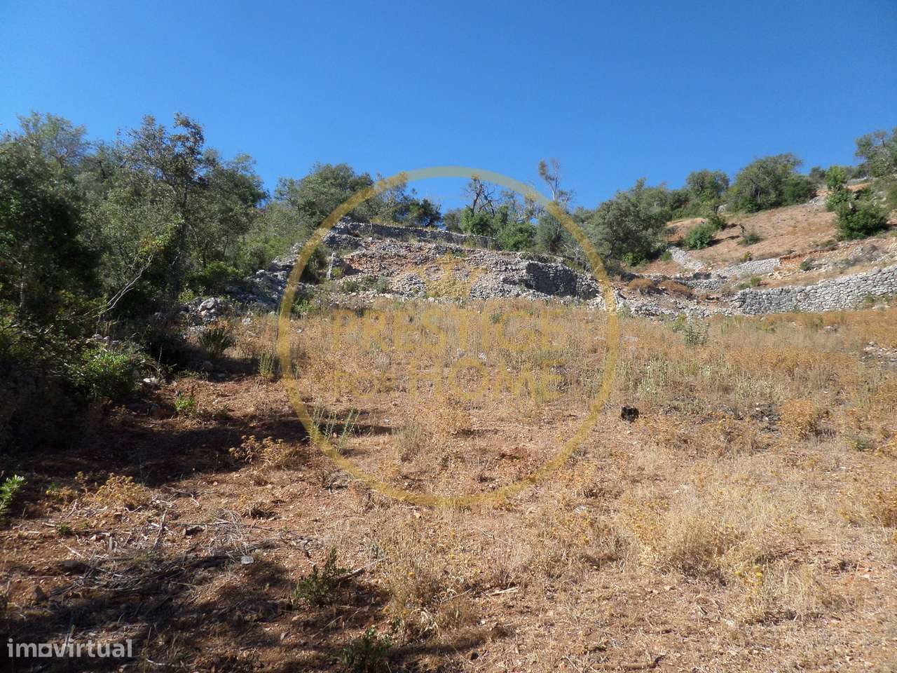 Terreno, 1 410 m², Boliqueime-6