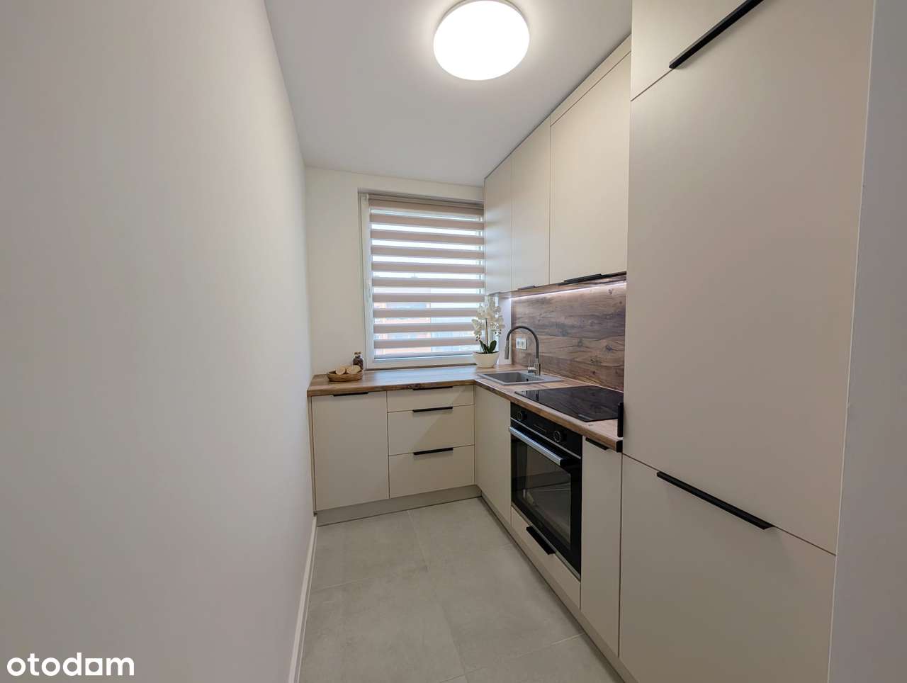 3 pokoje + osobna kuchnia + balkon / CO miejskie / niski czynsz - Pełny obrazek: 3/14