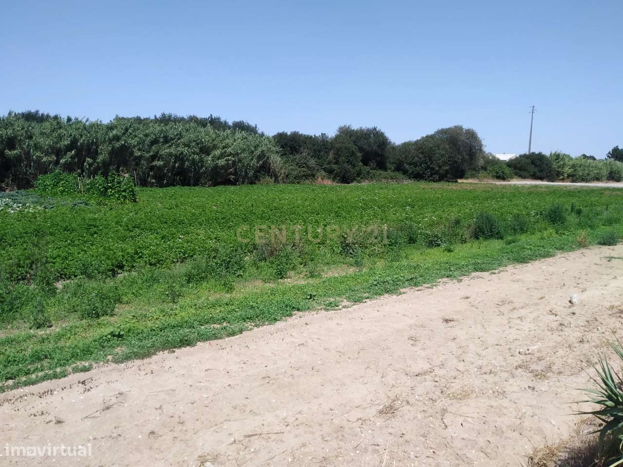 Terreno para construção de Habitação - Grande imagem: 5/8