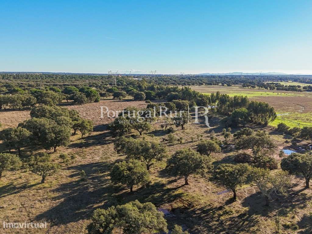 Herdade de 60 hectares para criação bovina e equina perto de Lisboa-25