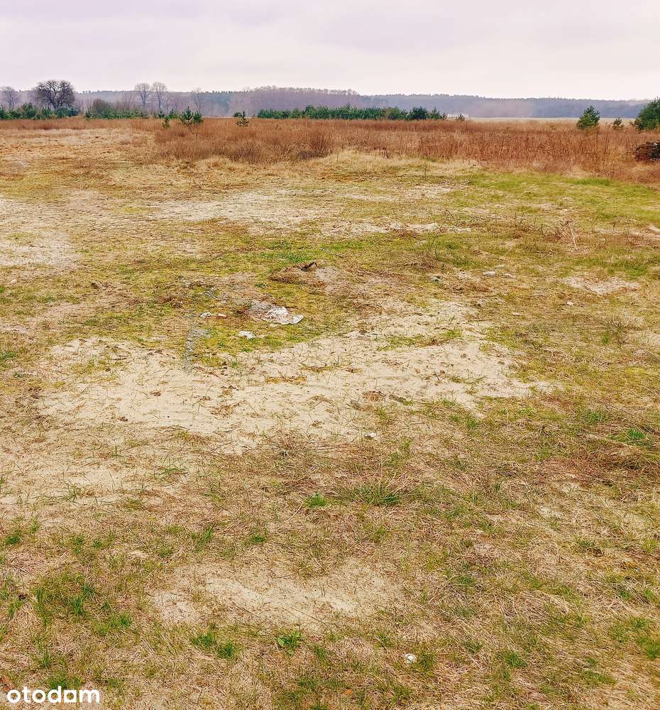 Działka w Chojnie z możliwością podziału-10