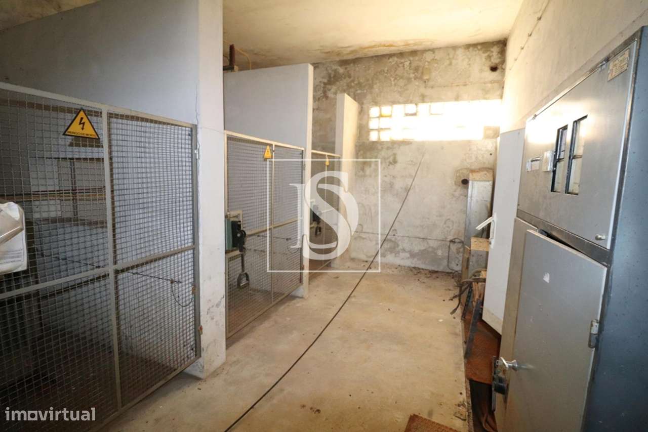 Armazém  Venda em Barcelos, Vila Boa e Vila Frescainha (São Martinho e-7