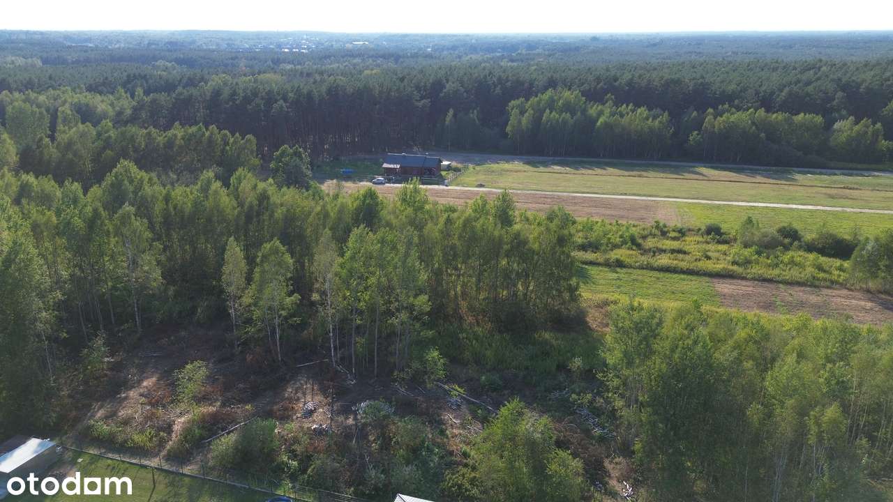 Działka komercyjna 7779 m² w cichej okolicy-9