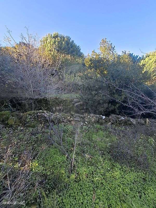 Terreno  para venda - Grande imagem: 5/14