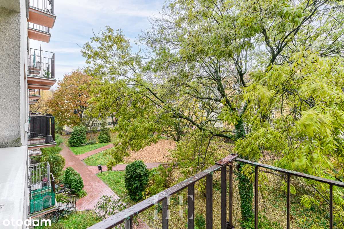 Dwustronne| Bazarek Mołdawska| Autobus| Ciche - Pełny obrazek: 5/18