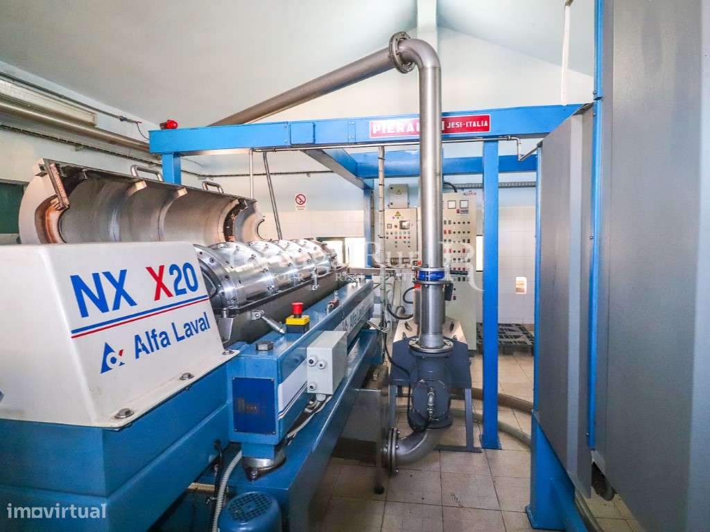 Unidade Industrial de Produção de Azeite & Elevado Potencial Produtivo-34