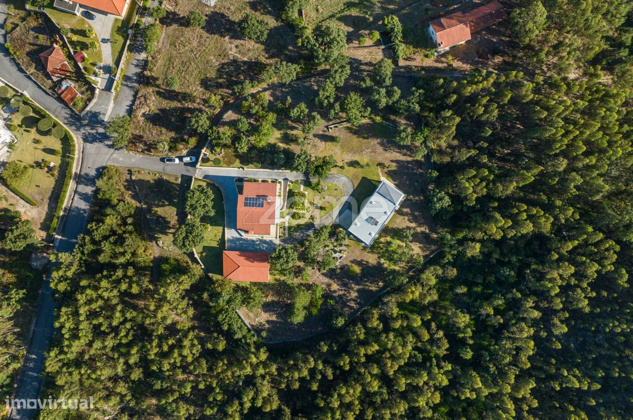 Propriedade T4 - Grande imagem: 5/60