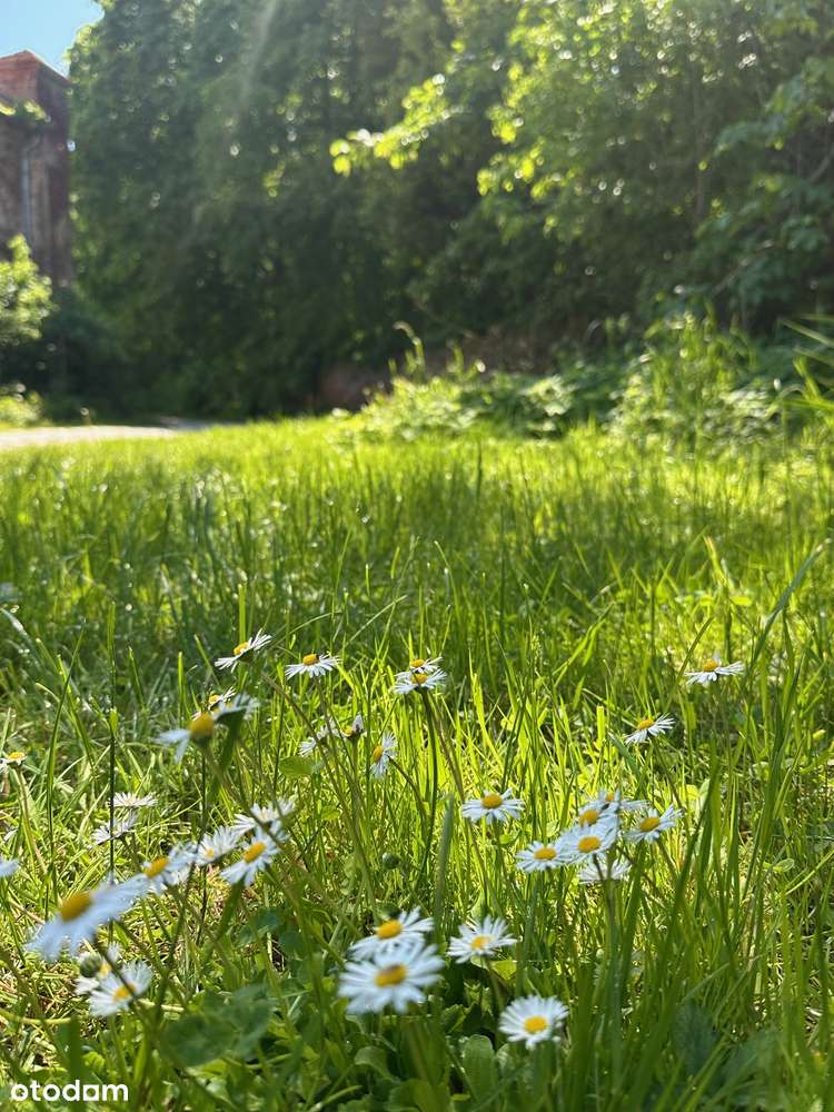Mieszkanie BEZ OPŁAT - 90 m2 Piotrowice obok Wrocław, Kąty Wr.-2